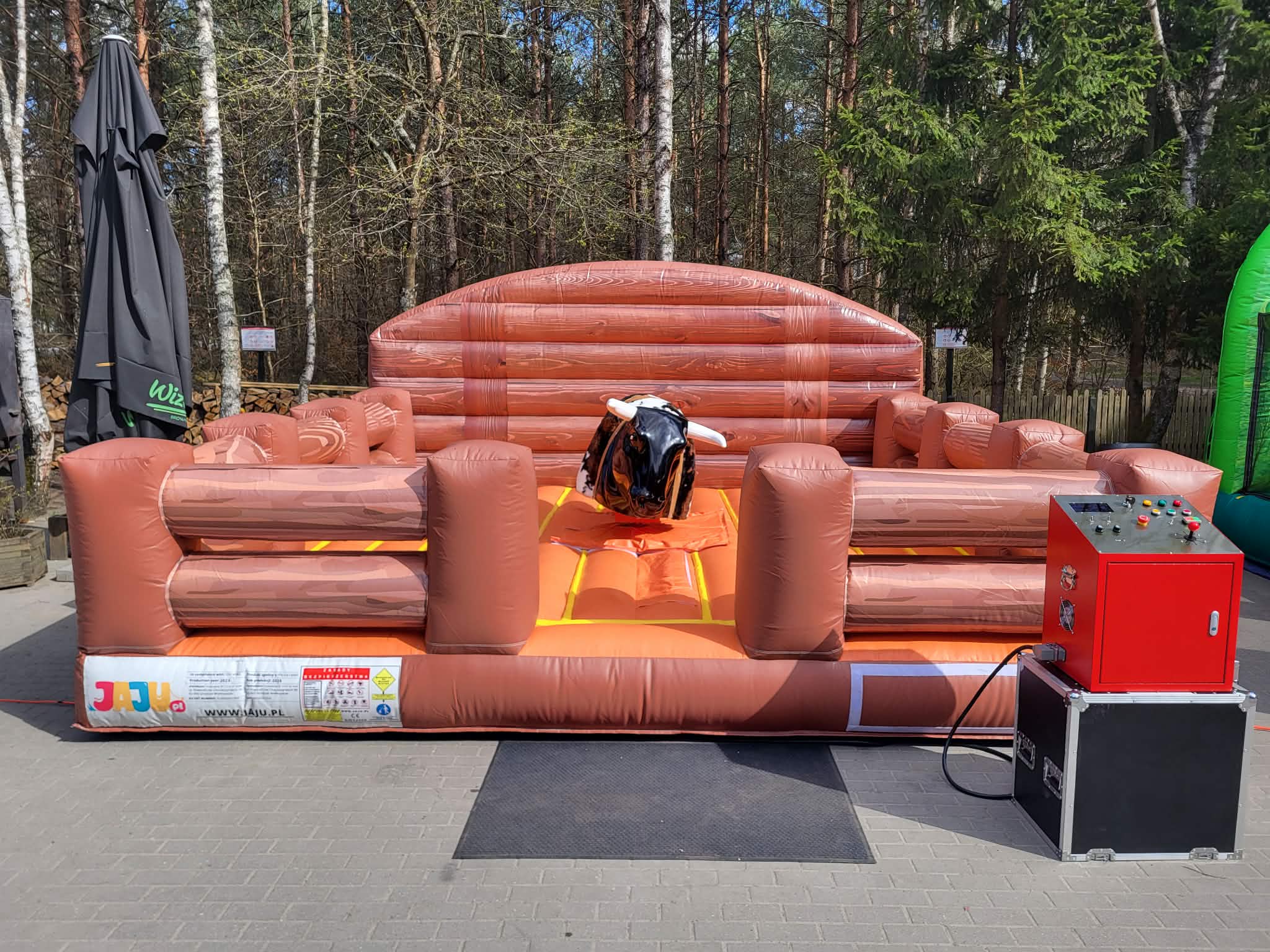 Byk rodeo